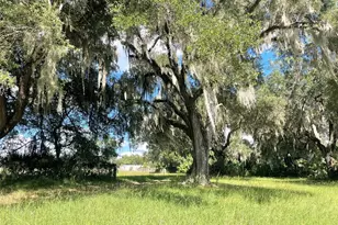 11816 SE County Road 234, Micanopy, FL 32667 - Photo 37