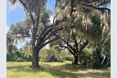 11816 SE County Road 234, Micanopy, FL 32667 - Photo 63