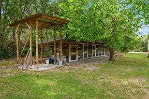 6459 SE Co Rd 337, Newberry, FL 32669 - Photo 57