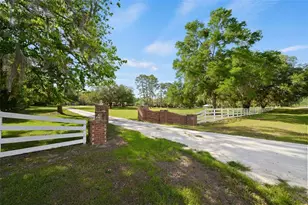 6459 SE Co Rd 337, Newberry, FL 32669 - Photo 65