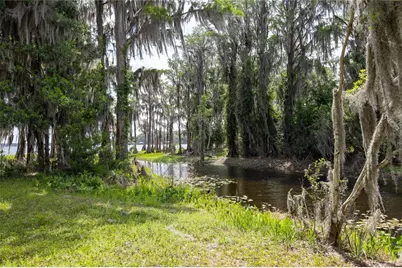 7305 NE 222nd Street, Melrose, FL 32666 - Photo 21