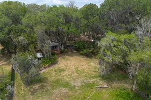 7305 NE 222nd St, Melrose, FL 32666 - Photo 49