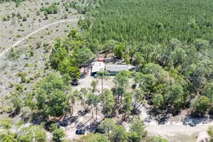 221 Magnolia Rd, Hawthorne, FL 32640 - Photo 19