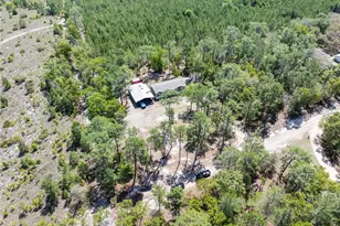 221 Magnolia Rd, Hawthorne, FL 32640 - Photo 21