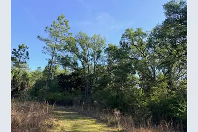 6650 NW 110th Avenue, Chiefland, FL 32626 - Photo 13