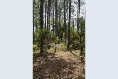 6650 NW 110th Avenue, Chiefland, FL 32626 - Photo 5