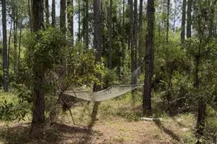 6650 NW 110 Ave, Chiefland, FL 32626 - Photo 5