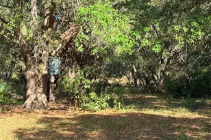 6650 NW 110 Ave, Chiefland, FL 32626 - Photo 19