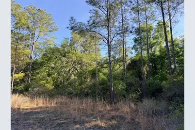6650 NW 110th Avenue, Chiefland, FL 32626 - Photo 9
