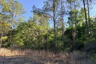 6650 NW 110 Ave, Chiefland, FL 32626 - Photo 9