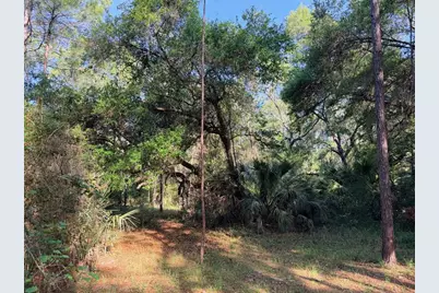 6650 NW 110th Avenue, Chiefland, FL 32626 - Photo 15