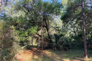 6650 NW 110 Ave, Chiefland, FL 32626 - Photo 15