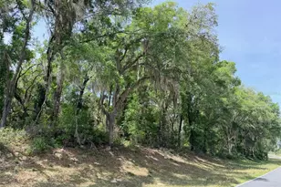 6650 NW 110 Ave, Chiefland, FL 32626 - Photo 21