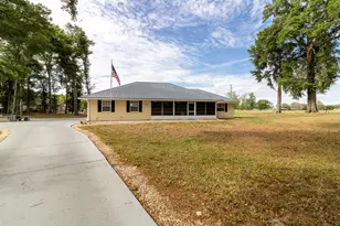 300 SW Brighton Ct, Fort White, FL 32038 - Photo 1