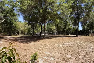 7727 Cypress St, Keystone Heights, FL 32656 - Photo 9