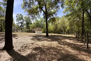 7727 Cypress St, Keystone Heights, FL 32656 - Photo 5