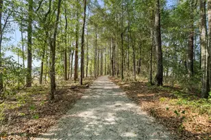 1114 SW 143rd St, Newberry, FL 32669 - Photo 51