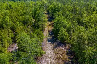 1147 SE Hammerly St, Madison, FL 32340 - Photo 27