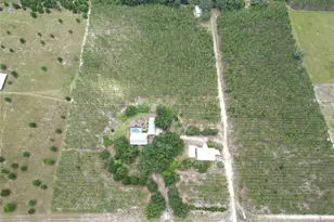 272 NE County Rd 337, Trenton, FL 32693 - Photo 5