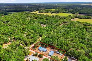 9764 NW 56th Ln, Chiefland, FL 32626 - Photo 23