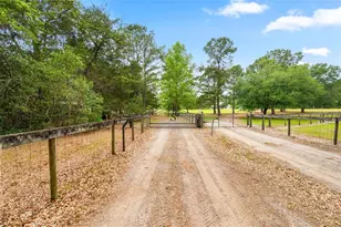 8822 NW 170th St, Alachua, FL 32615 - Photo 3
