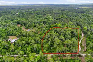 7621 NE 108th Ave, Gainesville, FL 32609 - Photo 3