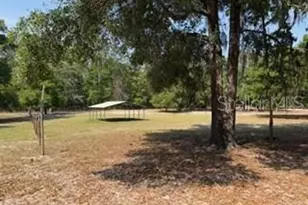 4760 NW 55th Ave, Bell, FL 32619 - Photo 27