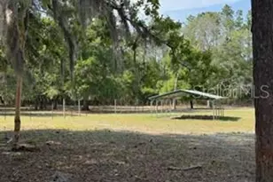 4760 NW 55th Ave, Bell, FL 32619 - Photo 39