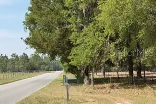4760 NW 55th Ave, Bell, FL 32619 - Photo 11
