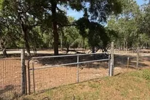 4760 NW 55th Ave, Bell, FL 32619 - Photo 15