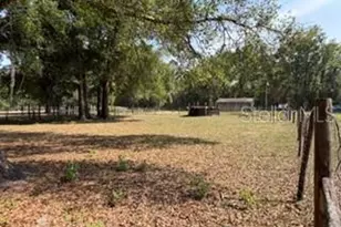 4760 NW 55th Ave, Bell, FL 32619 - Photo 27