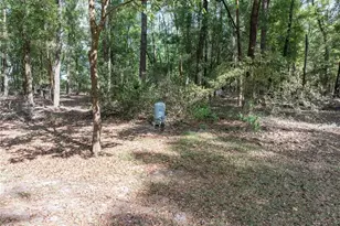 159 SW 70th Ave, Bell, FL 32619 - Photo 37