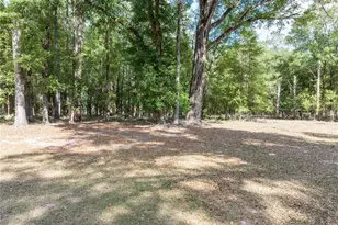 159 SW 70th Ave, Bell, FL 32619 - Photo 33