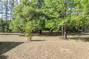 159 SW 70th Ave, Bell, FL 32619 - Photo 31