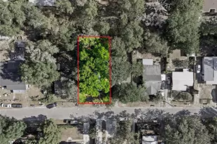 1032 NW 40 Ave, Gainesville, FL 32609 - Photo 21
