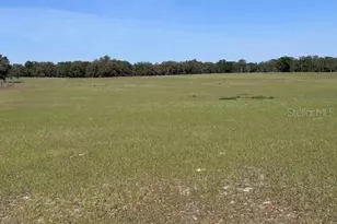 10250 NW 67th Pl, Chiefland, FL 32626 - Photo 35