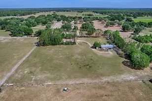 10250 NW 67th Pl, Chiefland, FL 32626 - Photo 55
