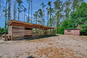 10250 NW 67th Pl, Chiefland, FL 32626 - Photo 47