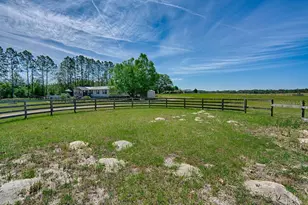 10250 NW 67th Pl, Chiefland, FL 32626 - Photo 45