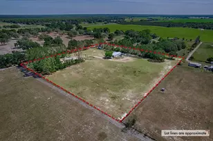 10250 NW 67th Pl, Chiefland, FL 32626 - Photo 59