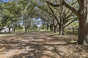 24026 NW 126th Ln, Alachua, FL 32615 - Photo 5
