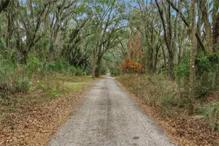 24026 NW 126th Ln, Alachua, FL 32615 - Photo 57
