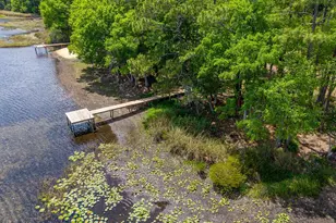 554 S County Road 21, Hawthorne, FL 32640 - Photo 63