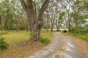 818 NW 202nd St, Newberry, FL 32669 - Photo 9
