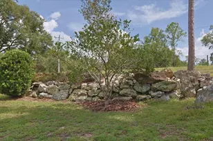 5340 NE County Rd 340, High Springs, FL 32643 - Photo 19