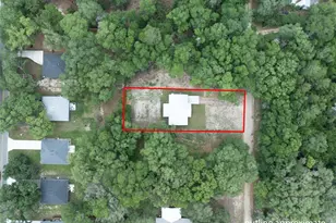 207 N Palmetto Ave, Florahome, FL 32140 - Photo 41