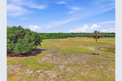 22130 NW 75th Avenue Road, Micanopy, FL 32667 - Photo 37