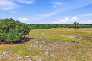 22130 NW 75th Ave Rd, Micanopy, FL 32667 - Photo 37