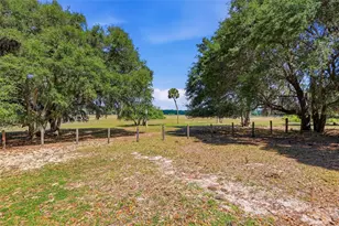 22130 NW 75th Ave Rd, Micanopy, FL 32667 - Photo 39