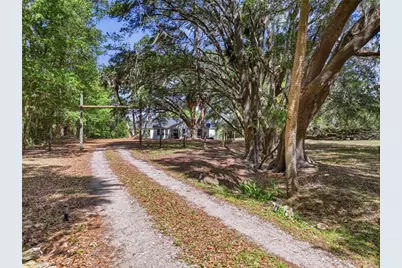 22130 NW 75th Avenue Road, Micanopy, FL 32667 - Photo 5